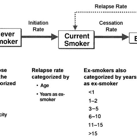 Evolution Of Smoking Rates Download Scientific Diagram