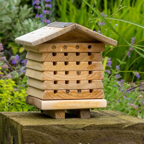 Solitary Bee House Solitary Bee House Solitary Bees Best Ts For