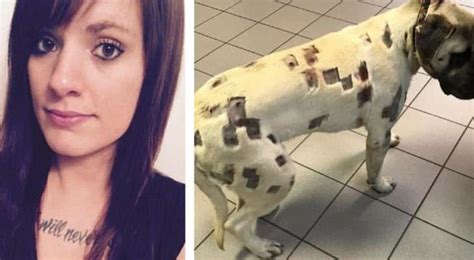 Woman Thought Her Dog Is Covered In Insect Bites Than Vet Looks Closer