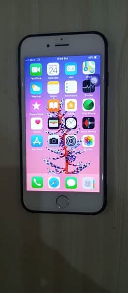 Apple Iphone 6 16gb Pta Approved Mobile Phones 1054205851