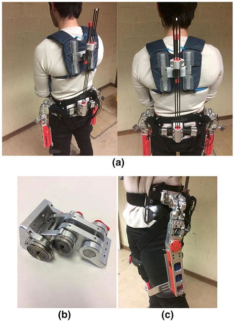 Passive spinal exoskeleton with the elastic spinal module ...