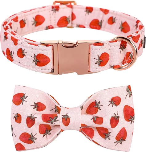 Lionet Paws Dog Collar With Bowtie Summer Cute Cotton