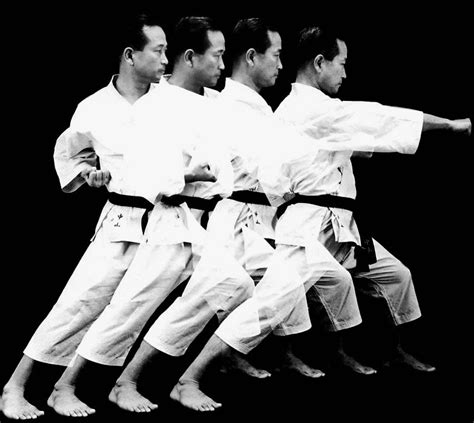 O Karate Shotokan Altair Militão