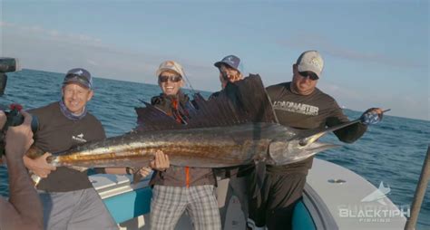 Blacktiph Catches His Biggest Sailfish Ever While Fishing For Barracuda