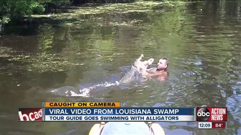 Video Louisiana Swamp Tour Guide Feeds Gators Chicken Marshmallows