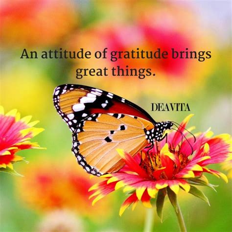 60 Gratitude Quotes And Inspirational Sayings About Being