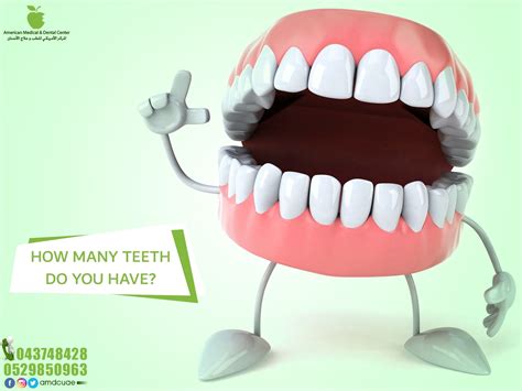 See full list on mayoclinic.org HOW MANY TEETH DO YOU HAVE ? | Health care, Teeth, How many