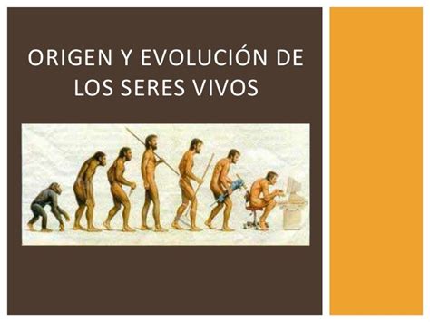 Origen Y Evolucion De Los Seres Vivos Dudas La Seleccion Natural Que Images
