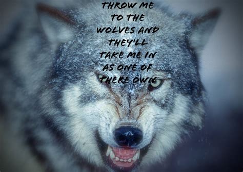 Native American Wolf Quotes Sayings