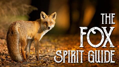 The Fox Spirit Guide Ask The Spirit Guides Oracle Totem Animal