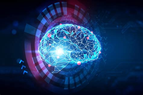 Unlocking the Secrets of the Brain’s “Internal Compass” - Lifetech News