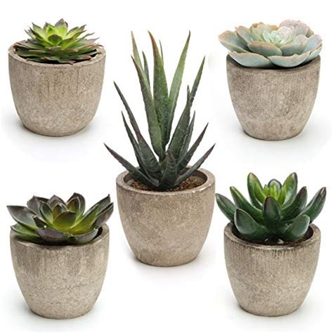 Best Fake Cactus Plants For Small Spaces