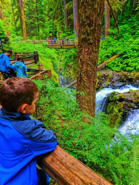 Hiking Sol Duc Falls And The Northern Rainforest Of Olympic National Park