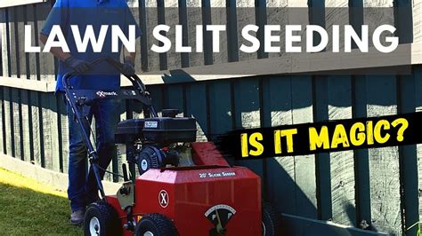 Using Slit Seeding For Lawn Overseeding Lawn Renovation Youtube