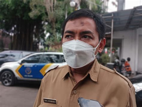 Serangan penyakit yang menyerang tanaman kelapa sawit diketahui memiliki pengaruh yang besar terhadap produktifitas dan kualitas kelapa sawit. Penanaman Kelapa Sawit Masih Sebatas Wacana - MalangVoice