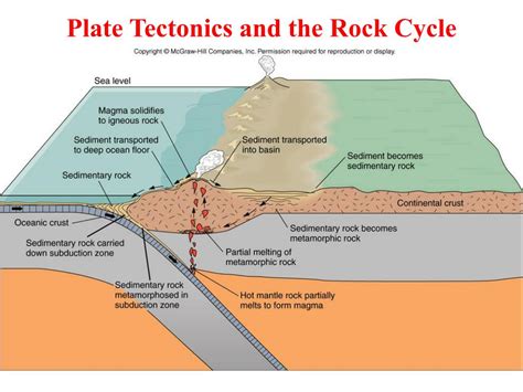 Rock Cycle Plate Tectonics
