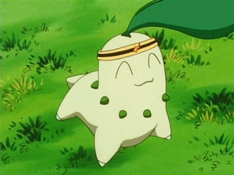 Chikorita GIF Find Share On GIPHY Pokemon Funny All Anime