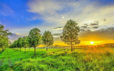 Hd Golden Sunset On The Green Field Wallpaper Download
