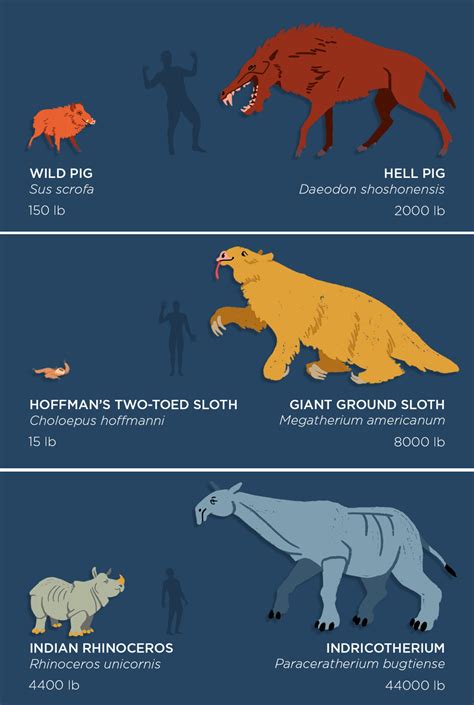 Extinct Animals In Comparison With Modern Earth Chronicles News