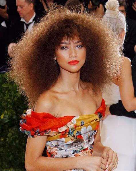 22 Zendaya Curly Hairstyles Hairstyle Catalog