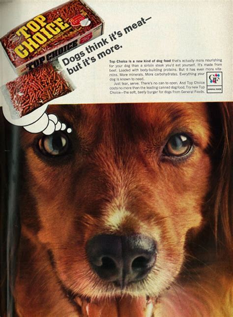 Pin By Je Hart On Dogs In Advertising Dog Food Recipes Food Ad
