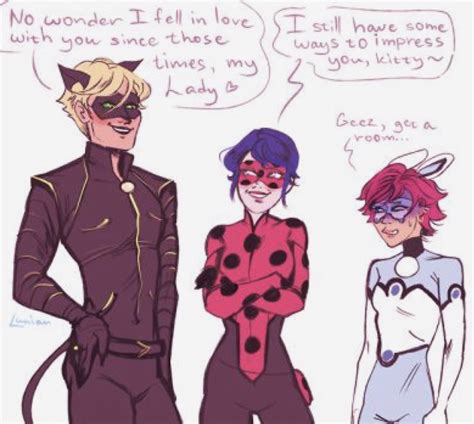 Adult Cat Noir Ladybug And Bunnix Fandom