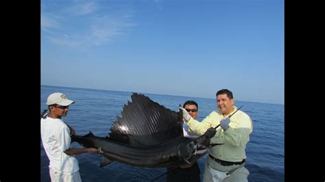 La Pesca Del Pez Vela En Acapulco Mexico Sailfish Fishing In Acapulco