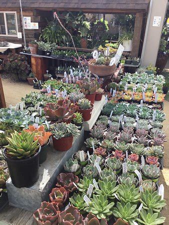 The Secret Garden (Sacramento, CA): Hours, Address - Tripadvisor