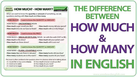 How much? How many? - English Grammar Lesson - YouTube
