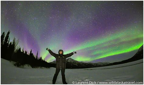 2022 Alaska Northern Lights Tour Wild Alaska Travel