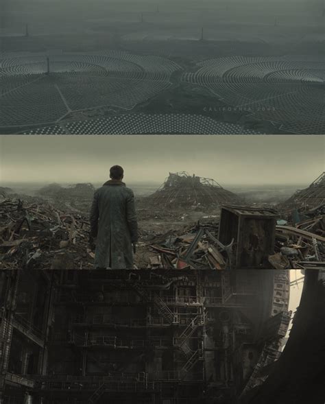 Blade runner contó con un número significativo de actores que, en aquel entonces, eran prácticamente desconocidos. Blade Runner 2049 Cinematography ~ RICHARD DEAKINS WINS ...