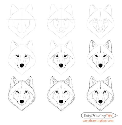 How To Draw A Wolf Face And Head Step By Step Wolf Face