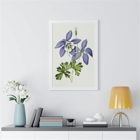 Blue Columbine Flower Drawing Printed Reproduction Framed Etsy