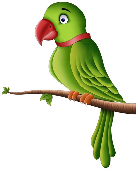 Parrot Png Pic Png All