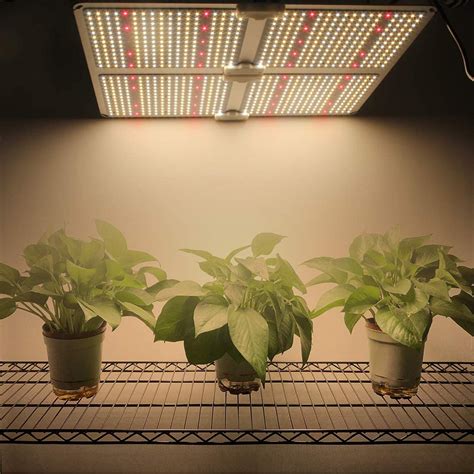 Growing Plants Indoors With Artificial Light What You Need To Know