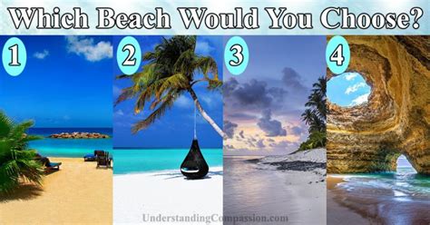 Bing Beach Quiz Quizzes Quizzes For Fun Quiz Questions Hot Sex Picture