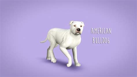 Gone Fishin Sims Pets Sims 4 Pets American Bulldog