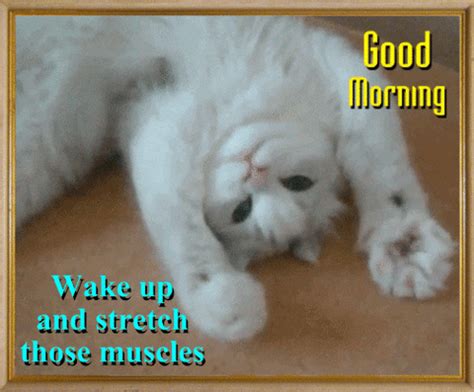 Stopping by to say good morning. Weightwatchers Exercise Newsgif GIFs - Find & Share on GIPHY