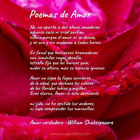 Poemas De Amor En Imágenes Que Le Dejarán Sin Aliento