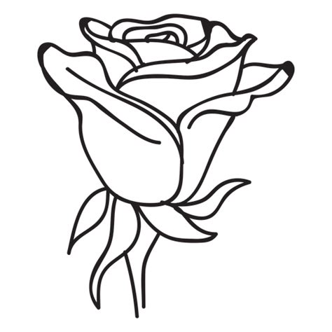 Download Blooming rose head stroke icon flower - Transparent PNG ...