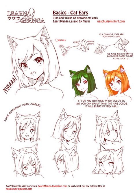 Learn Manga Basics Cat Ears By Naschi On Deviantart In 2021 Anime Cat