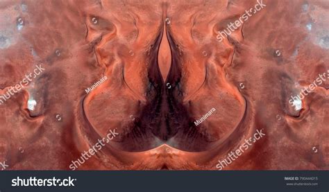 Sex Pussy Vulva Clitoris Vagina Orgasm库存照片 Shutterstock