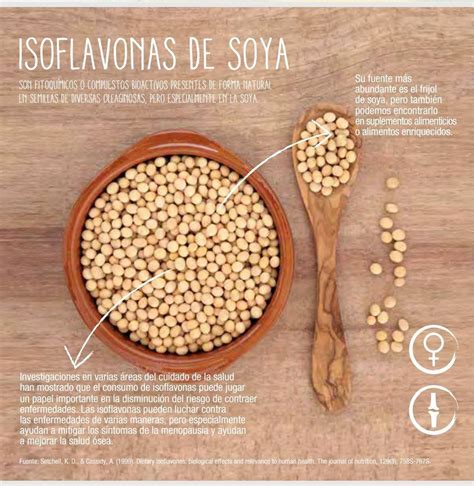 Beneficios De La Sojasoya Productos Herbalfites