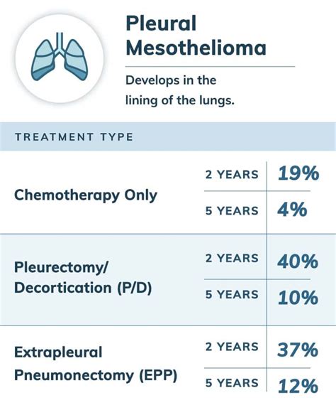 Mesothelioma Survival Rates Factors That Affect Patient Survival