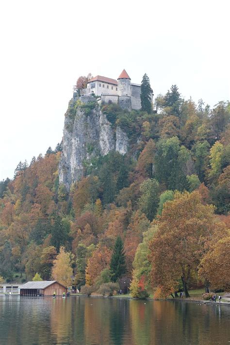 Bled Castle 1080p 2k 4k 5k Hd Wallpapers Free Download Wallpaper