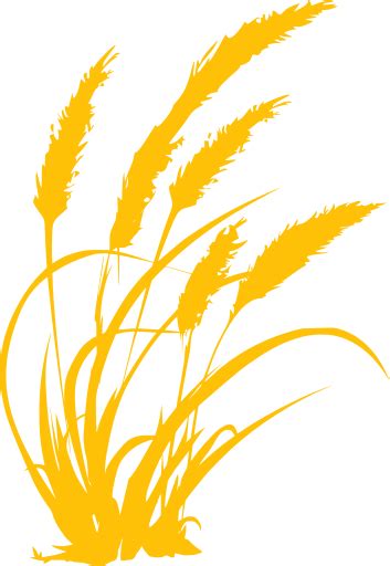SVG > gold wheat rural cereal - Free SVG Image & Icon ...