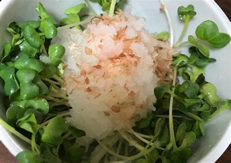 White Radish Sprout Grated Japanese Raddish Salad Kaiware