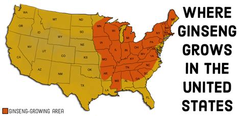 It could be carried out by anyone. Where in the United States Does Wild Ginseng Root Grow ...