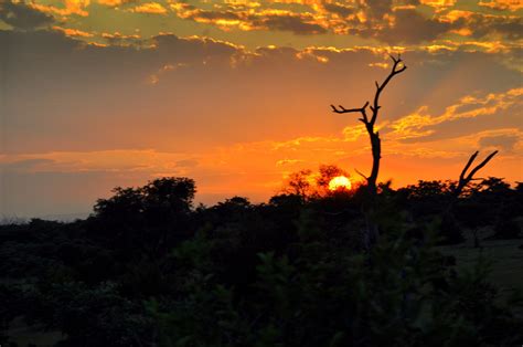 Savanna Sunrise South Africa Mpumalanga By Svetlana Fomen Dmitriy