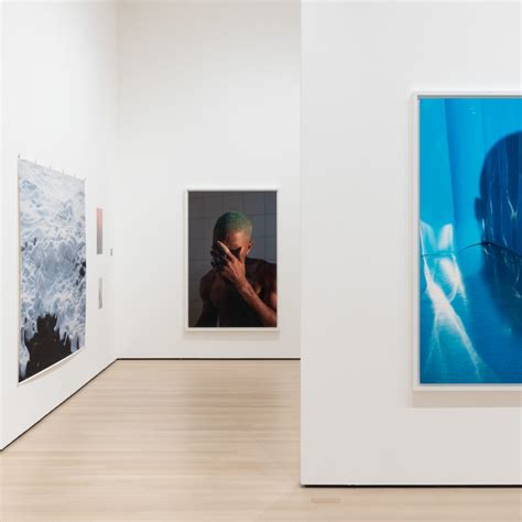 Behind The Scenes With Curator Roxana Marcoci On Wolfgang Tillmans